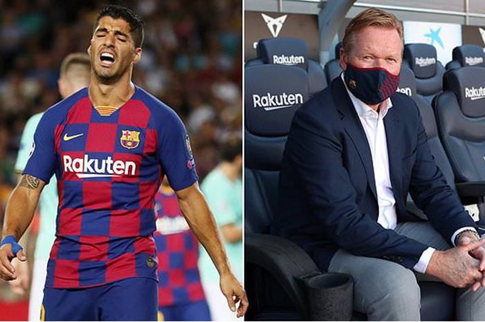 32356912-0-image-a-20_1598351552937