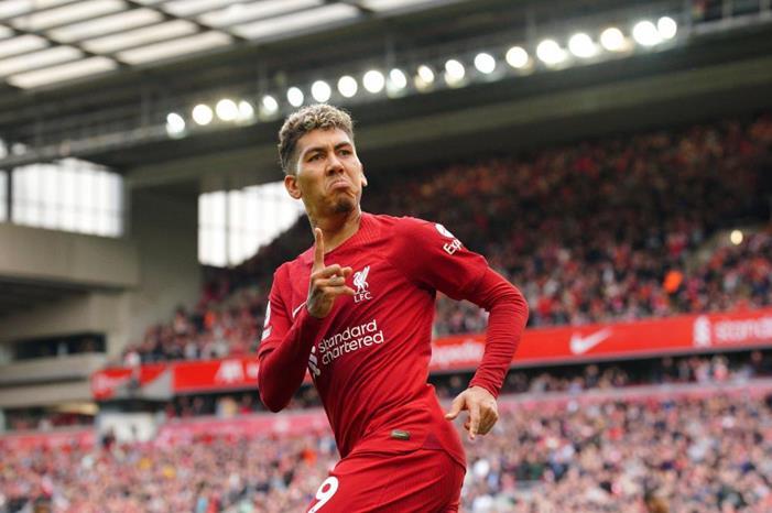 فيرمينو1664638713