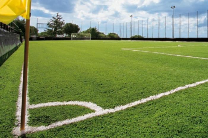 العشب الصناعي