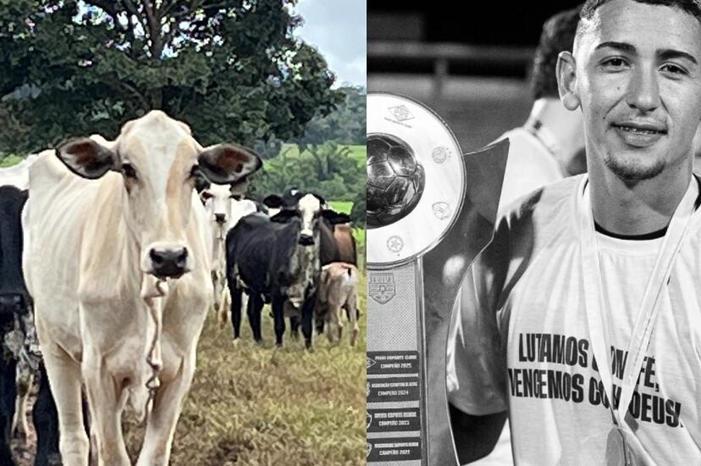 68f8d0ee4c59b72bff7d8f41