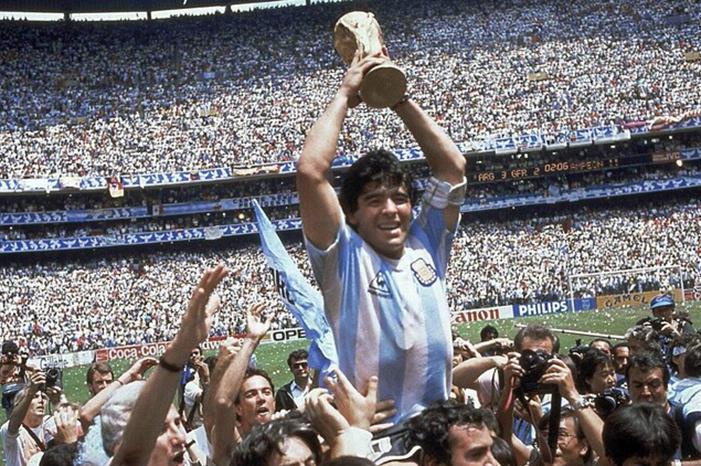 5fbe8792423604288401efa3