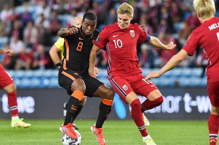 1254521-النرويج-ضد-هولندا