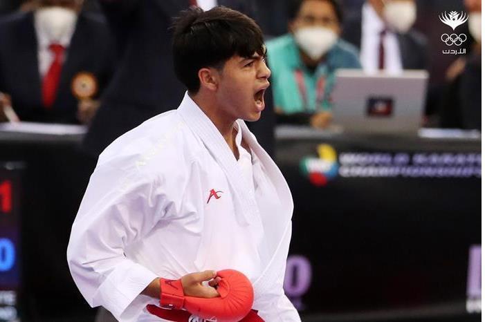 11202117184539297253573