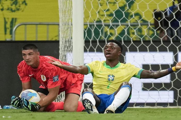 673db9084c59b74a1e490efc