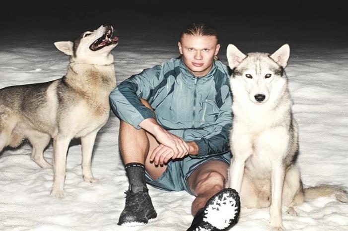 673f1fa04c59b73af52141b4