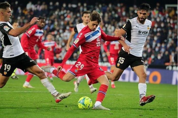 61cf66d1423604563a0a8650