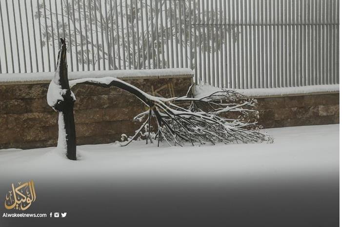 a1f40c88-4ce8-47d5-84a4-7a0722c6baee