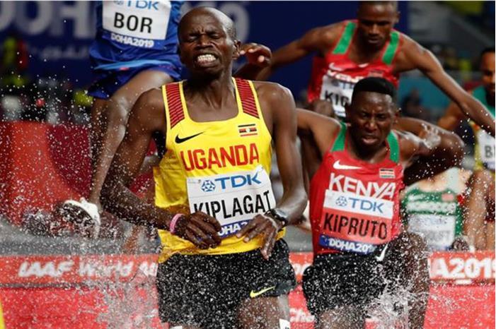 6591716b4236042ecb4edffc