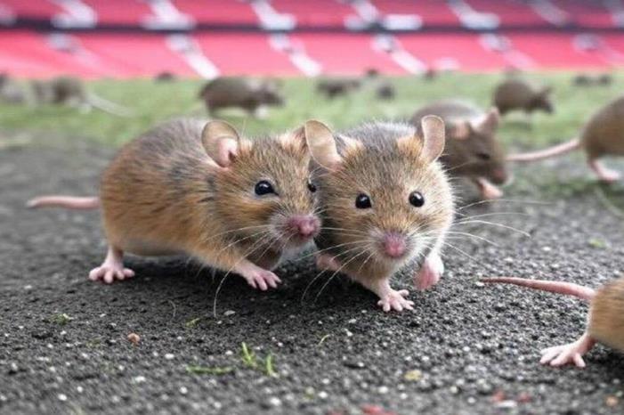 676a808e42360442b35e8a82 (1)