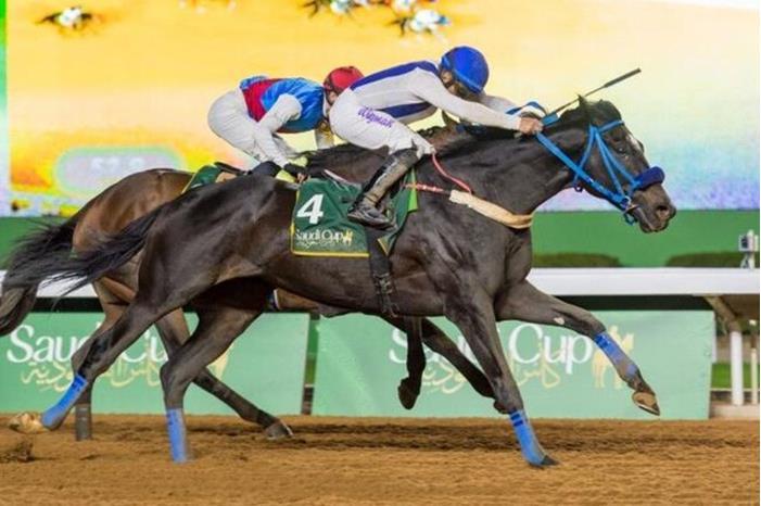 621b0ea0423604318e76b961