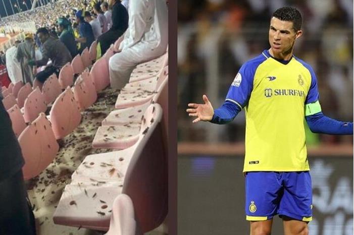 63e5cb4142360471c351e3b5