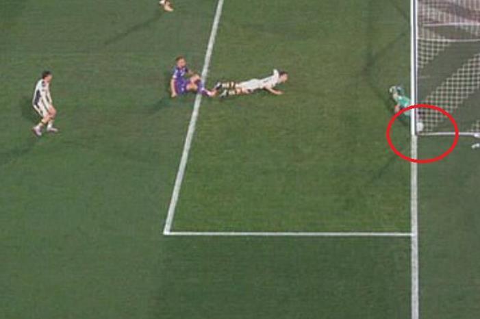 63f8ed7b4c59b718776d464d