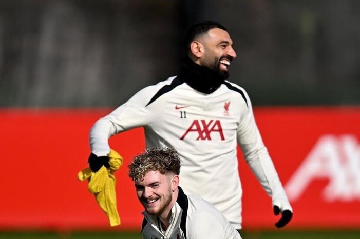 67bf6d054236040a302254dc