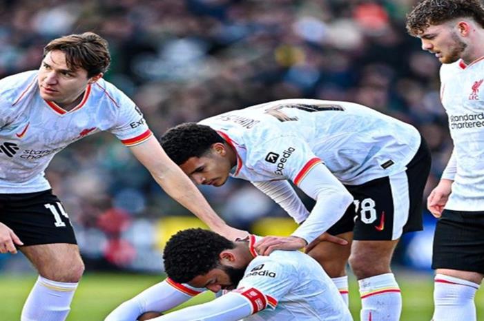 67a8d14b42360462ce1facab