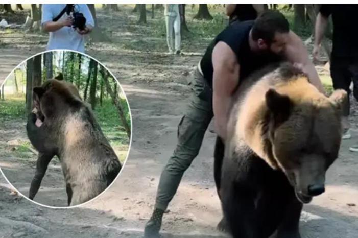 699b0b6442360454dd596253