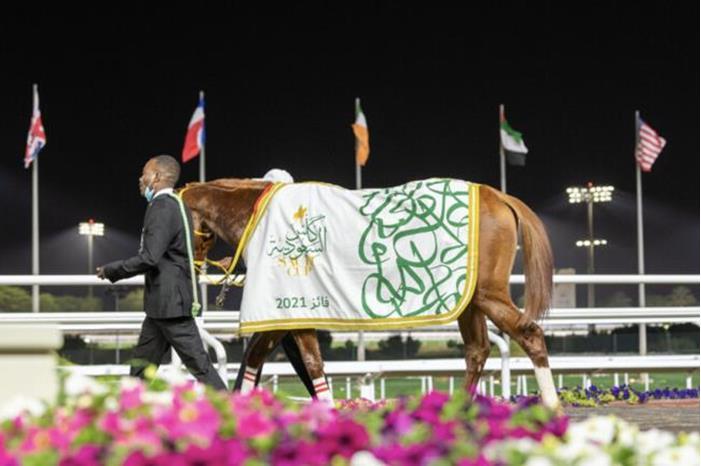 تحطيم رقم قياسي عالمي في كأس السعودية لسباقات الخيل 62357b384236046c7a2349aa