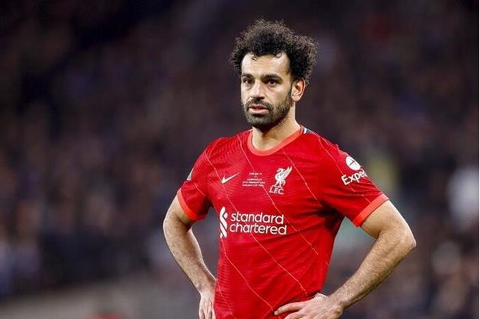 62235c40423604582a36bb18