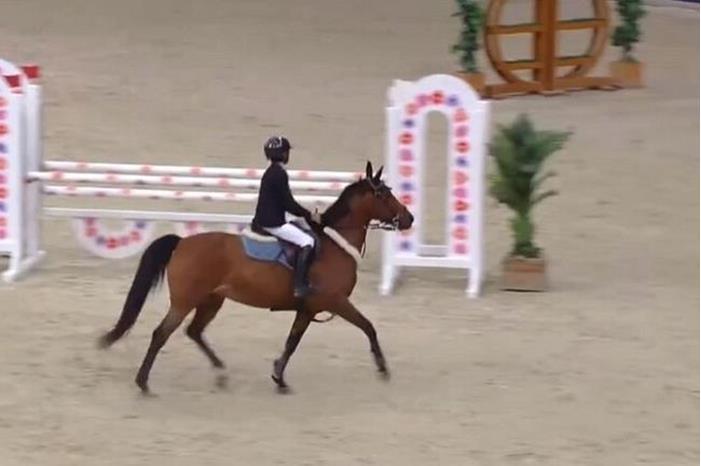 65e1e70a4236044bcc667713