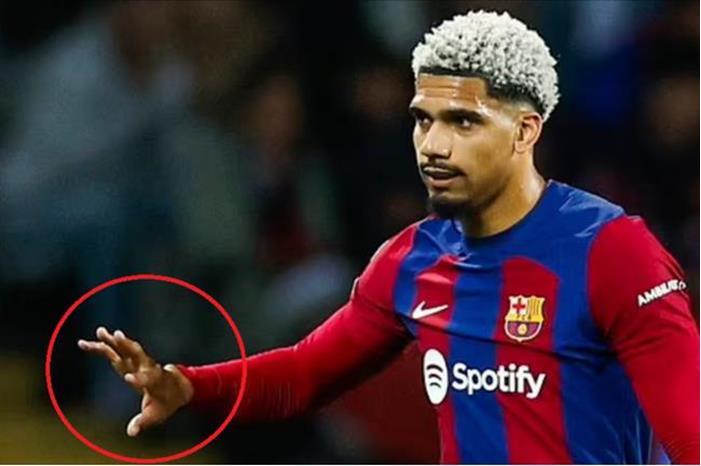 661fb8d5423604602016ec56