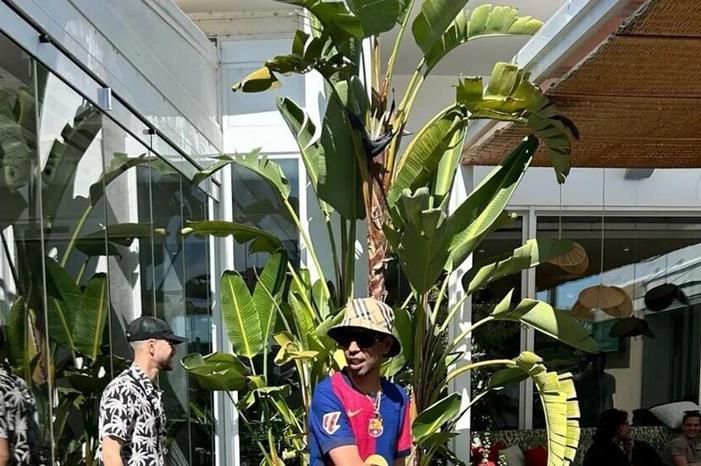 680e137d4236041dab48e539