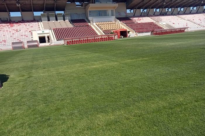 8f8113d3-6aa1-4daa-8e8e-3d363289e1e5