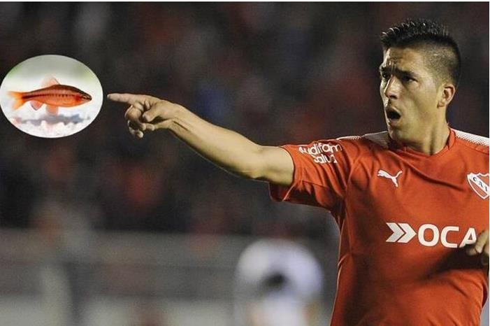 62d6b83c423604584d5f631a