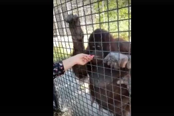 68665bc54c59b77a1e5970ee