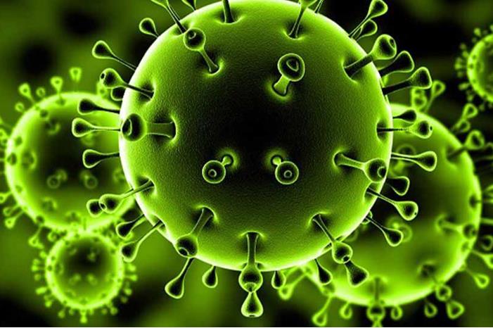 إلغاء بطولة جديدة بسبب كورونا image