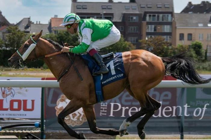 الجواد جارف يحرز لقب كأس رئيس الإمارات للخيول العربية في بلجيكا garf