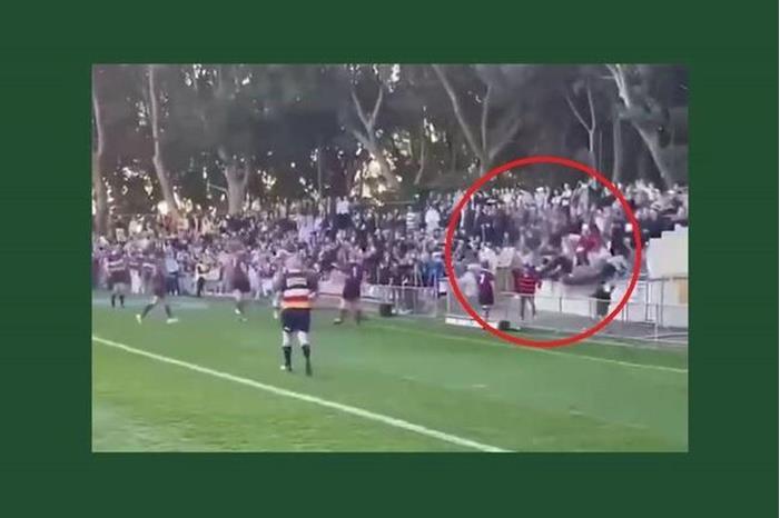 62ee6868423604595c6b548e (1)