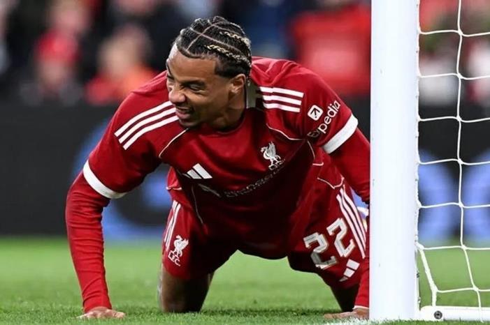 a469b053-e7c1-4451-8854-d652aa0a07a6