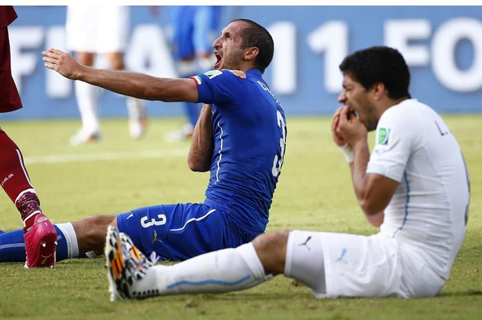 696a2b94742f8809399788a02e69f1f7