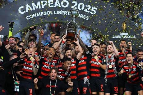 فلامنغو البرازيلي بطل كأس ليبرتادوريس - ملاعب 