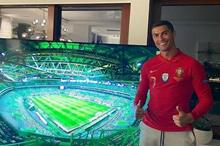 5f8a01554236043db66acce7