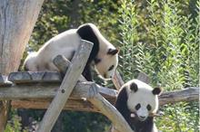 6350ea2542360429fb3c65db