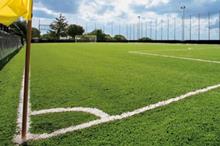 العشب الصناعي