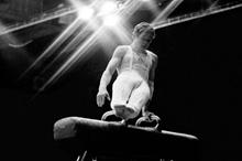 68ee239a4c59b717a1285490