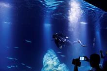 5fab20b24c59b76aef1ecbd5