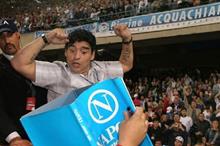 5fbf70384236044099631e3c