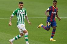 5fa7172c4c59b71bfc6b9924