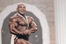 6197ca48423604249514677d