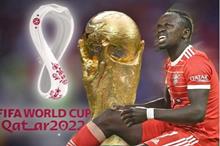 637ac1114c59b7389f677980