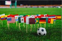 637ad01d42360450ca0688ba