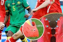 63830f5f42360429e525daa0