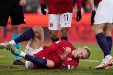 main_image6558575e83b4a