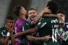 palmeiras-celebrating-copa-libertadores-santos_mfxkhsyce0181ucnng40bcgzw