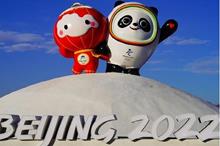 61e56ccf423604590d68f311