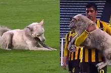 5fe9366b4236045ebd5eb030