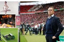 61a74bbb423604465e27de75