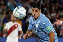 636e239c4236041a795e743e